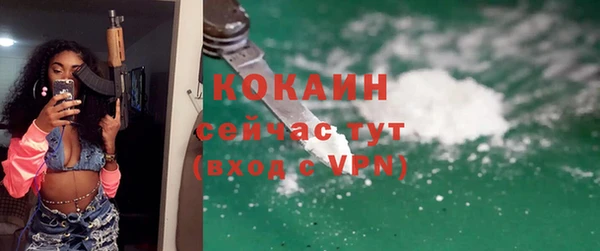 стаф Аркадак