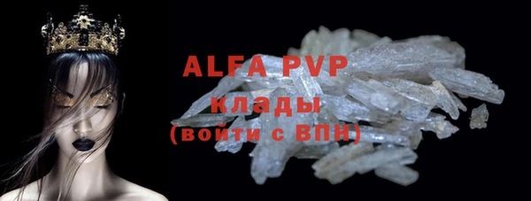 стаф Аркадак