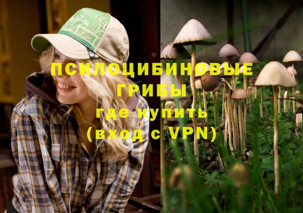твердый Балахна