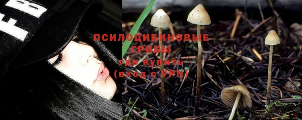 твердый Балахна