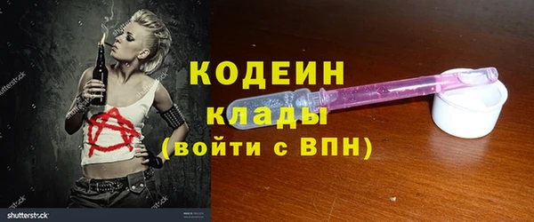 стаф Аркадак