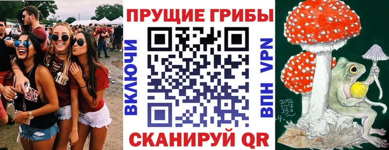нарко площадка какой сайт  Избербаш  Галлюциногенные грибы ЛСД 